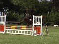 Ruinerwold 2008 \"Springen Bianca met Esprit\" Klasse B Cat. D
