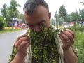 The Kashmir Files Part 10 - Trip to Pehalgam