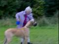 videos de Funny Videos - Granny Gets Pulled by Dog
