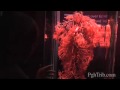 The Real Human Bodies Exhibit