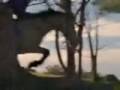 videos de the saddle club-entry for Semperlupe's horse contest