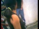 paseoaa quinua