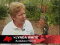 PGA Golfer Takes Aim, Kills Hawk