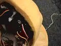 hanson head femail Kbot