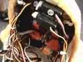 hanson head femail Kbot