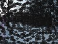remix   ice box by david sides/omarion