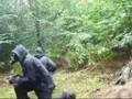videos de Forest Infection