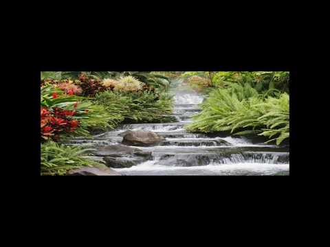 Kim Malmquist-Dawn from the CD 