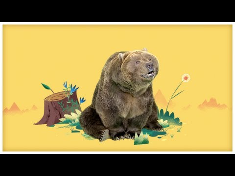 Big Brown Boogieing Bear