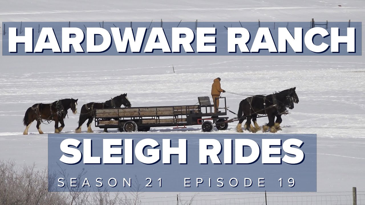 S21 E19 Sleigh Rides at Hardware Wildlife Management Area