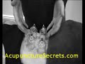 Acupuncture Treatment at http://www.acupuncturesecrets.com/