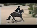 Ebony WCHR Spectacular WEF 2008