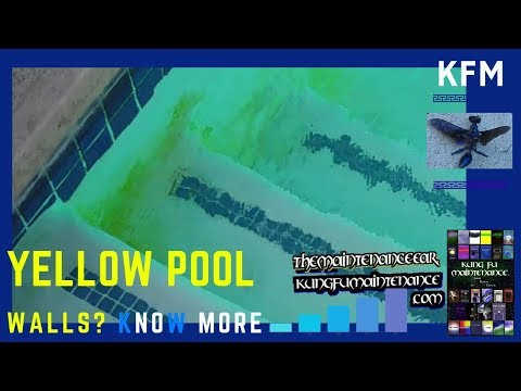 how to eliminate algae from a pool