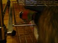Clyde le furet klepto Clyde le furet klepto