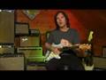 Fender Reverb Twin and Strats