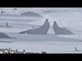 National Geographic Magazine\ National Geographic Magazine\