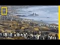 View Video
