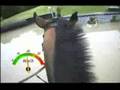 Helmet cam Ride