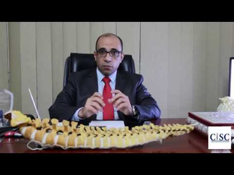 https://www.youtube.com/embed/3kxFidCzGD8