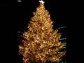 �ݥ�Υ���ե��ƥ���Hard Days, Holy Night��̵������ư���İ