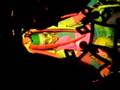 ELECKTRA SHOCK EN RTD 2007