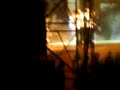 Exalta samba em taubate-associa��o