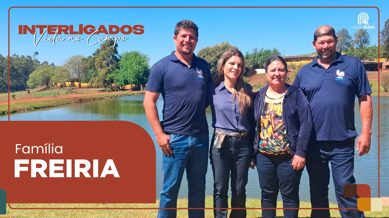 Avô criou aviários para reunir a família; hoje, neto planeja expandir | Interligados - Vida no Campo