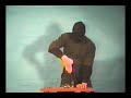 Dim Mak Finger Test Dim Mak Finger Test