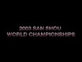 kung fu sanda sanshou