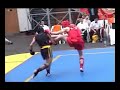 Kung Fu Sanda Sanshou