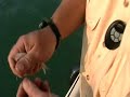 Sumertime Stripers Part Three - Downrods and Power Reeling