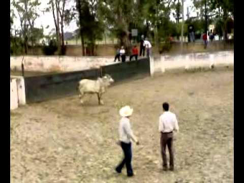 mexican train mexican train