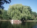 ALIZZE SINGS IN BOSTON