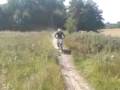 videos de mx in oden