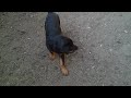 This video was uploaded from an Android phone.