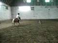 videos de meghan et caramel