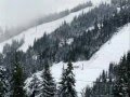 First Snow Cypress