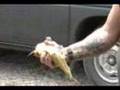 Frankenfish-Won-t-Di