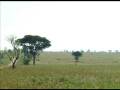 videos de Vakantie Oeganda 2008