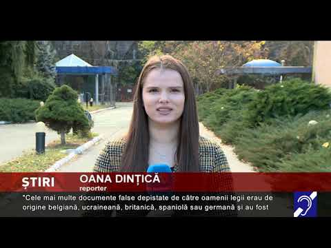 Documente false la frontieră