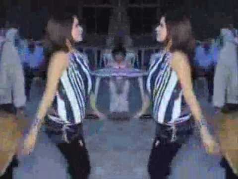 طيز شامية