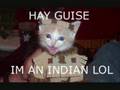 My first lolcat movie