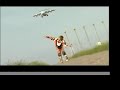 theo ramos airlines