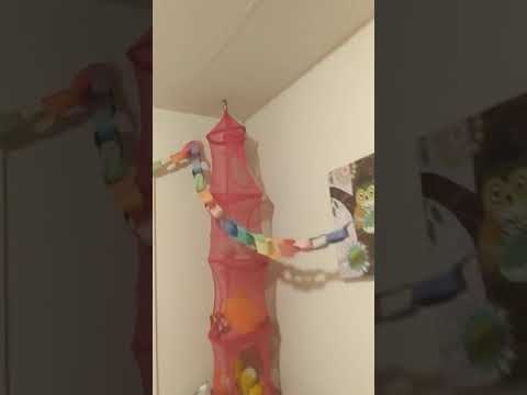 Americas Home Place - Leaking Roof in new home..and more.