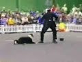 cachorro esperto