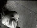 Old friend sent me a video Old friend sent me a video