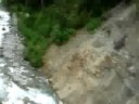 Whistler Ziptrek