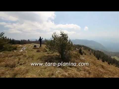 [Viaggi ed Esplorazioni] 15-22 Luglio 2012 - Serbia,Monti Tara