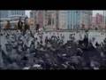videos de IchHier --- Pulse of Life