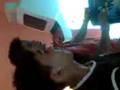 The King`s - O JOGO FINAL